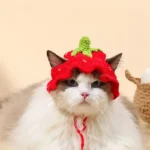 Cat Hats Elastic Cute Puppy Kittens Hat Headwear Photo Shoot Props Cat Accessories - Image 4