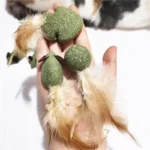 Pet Catnip Toys Cat Mint Ball Edible Catnip Ball Mouse Safety Healthy Cat Mint Cats Home Chasing Game Toy Product Clean Teeth - Image 5
