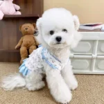 Cute Thin Spring/summer Dog Clothes with Flying Sleeves, New Pet Dog Yorkshire Dress, Princess Cat Pet Clothing - Image 4