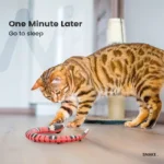 Automatic Cat Toys Interactive Smart Sensing Snake TeaseToys for Cats USB Charging Cat Accessories for Pet Cats Game Play To - Image 6