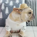 Cute Adjustable Pet Woven Hat Dog Decorative Hat Photo Prop Universal Dog Cat Sunshade Cap Run Straw Hat For Small Dog Puppy Cat - Image 3