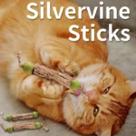 1pc Cat Cleaning Teeth Pure Natural Catnip Cat Molar Toothpaste Stick Silvervine Actinidia Fruit Matatabi Cat Snack Stick - Image 5