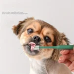 360 Degrees Pet Toothbrush Cat Brush Addition Bad Breath Tartar Teeth Care Dog Cat Cleaning Mouth Dog Cat Cleaning Supplies - Image 5