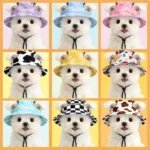 Summer Cat Dog Sunscreen Hat with Printed Checkered Pet Fisherman Hat Suitable for Cats Small Medium-sized Dogs Outdoor Supplies - Image 4