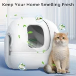 N50 Cat Litter Deodorizer Blocks - Strong Odor Eliminator, Long-Lasting Freshness, Refillable Cubes for Litter Box Odor Control - Image 3