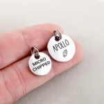 12mm Custom Engraved Pet Tag Stainless Steel ,Tiny Dog Cat ID Name Tag, Laser Puppy Kitten Silver Gold Rose Gold Pet Collar