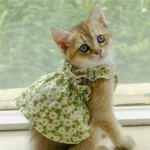 Summer Cotton Sphynx Cat Suspender Skirt Love Flower Pet Princess Dresses for Cats Gotas Katten Kedi Dog Dress mascotas Clothes