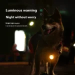 Led Luminous Dog Cat Collar Glowing Pendant Pet Leads Glow Accessories Bright Necklace Luminous Collar Night Safety Decoration - Image 3