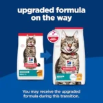 Adult 7+ Indoor Dry Cat Food, Chicken, 7 lb. Bag - Image 2