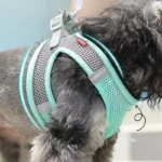 Puppy Harness Set Dog Accessories Adjustable Puppy and Cat Harness Vest French Bulldog Chihuahua Small Dog Collar Pet Leash Dogs - Image 2