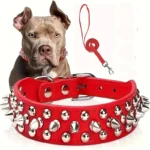Spiked Dog Collar And Leash Set, Rivet Leather Dog Collar Adjustable Dog Collar For Outdoor Walking - Image 4
