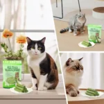 Chicken Cat Grass Molar Sticks 1/3/5bags Drain Hairballs Clean Teeth Gentle Hair Removal Pet Snacks Cat Grass Teething Sticks - Image 5