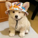 Breathable Cat Dog Sun Hat Adjustable Drawstring with Ear Holes Pet Bucket Hat Lightweight UV Protection Pet Cowboy Hat - Image 2