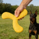 Dogs Eva Boomerang Flying Disc Play Tooth Chew Toy Indestructible Safe Large Dog Tough Toys Resistant Pet Supplies Water Toys - Image 3