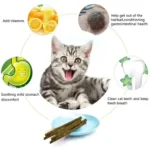 6pcs Natural Matatabi Cat Stick Mint Caught Bite Excited Rods Silvervine For Cat Teeth Cleaning Treating Pet Supply Cat Toys - Image 6