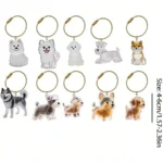 Transparent Dog Hair Storage Container Adorable Pet Keepsake Capsule Pendant With Key Ring for Pet Lovers DIY Memorial Keychain - Image 2