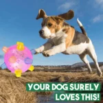 Interactive Dog Rolling Ball Toy Jumping Bouncing Ball with Lights Music Moving Dancing Pet Toy for Puppy Dogs Entertainmen - Image 8