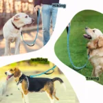 Bungee Dog Leash, Heavy Duty Dog Leash with Shock Absorption, 2 Padded Handles Training Leash, Improved Dog Safety and Comfort - Image 6