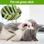 Cat Grass Sticks Indoor Cat Teething Grass Sticks Teething Stick Snacks For Cats Cat Grass Sticks For Hairball Removal - Image 3