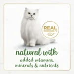Purina Gourmet Naturals Chicken, Salmon, Trout and Tuna, and Beef Flavor Pate Wet Cat Food, 3 oz Cans 12 Pack - Image 3