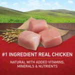 Dry Dog Food for Adult Dogs with High Protein Real Chicken and Rice Formula 16.5 lb Bag - Image 4