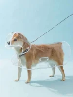 Dogs going out, transparent waterproof raincoat with hat pet raincoat - Image 6