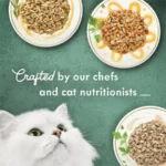 Purina Wet Cat Food Variety Pack, Medleys White Meat Chicken in Sauce Collection - Pack of 12 3 oz. Cans - Image 5
