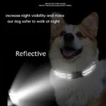10 Colors Pet Dog Collar Nylon Neck Collar for Small Mdium Large Dog Chihuahua Leash Reflective Collars Supplies Pet Accessories - Image 3