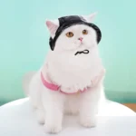 Cartoon Adjustable Pet Sun Cap Anti Stripping Breathable Dog Bucket Hat Sun Protection Cat Fisherman Hat Outdoor - Image 5