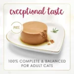 Purina Wet Senior Cat Food 7 Years Plus Chicken Feast Pate - Pack of 24 3 oz. Cans - Image 3