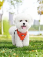 Reflective Breathable Dog Harness and Leash Set Pet Chest Strap Dopamine Pet Supplies Dog Accessories for Small Dogs - Image 3