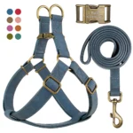 Personalized Dog Harness and Leash Set PU Leather Dogs Harness Free Engraved ID Buckle for Small Medium Large Dogs Pitbull Pug