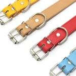 Solid Color Leather Dog Collar Adjustable Cat Necklace Puppy Neck Strap Suitable For Medium And Small Dogs Pet Supplies XS-XL - Image 3