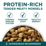 Plus Puppy Dry Food for Large Breed Dogs High Protein Formula with Real Chicken 16.5 lb Bag - Image 3