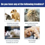 Pet Dog Cat Anti Flea Drops 100ml Insectcide Flea Lice Insect Remover Spray Flea And Tick Concentrate Formula Pet Flea Remover - Image 3