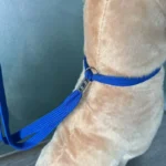 Pet Grooming Loops Dog Bathing Fixer Traction Rope Pet Cat Noose Dog Beauty Table Sling Adjustable Restraint Suction Cup Hook - Image 6