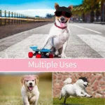 High-quality Ear Holes Pet Baseball Hat Adjustable Cat Dog Pet Visor Hat Outdoor Pet Casquette - Image 10