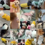 Pet Clothes Spring Summer Cat Dog T-shirt Breathable Waffle Vest Puppy Kitten Pet Supplies Chihuahua French Bulldog Clothing - Image 2