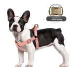 Personalized Dog Harness and Leash Set PU Leather Dogs Harness Free Engraved ID Buckle for Small Medium Large Dogs Pitbull Pug - Image 4