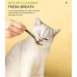 6pcs Natural Matatabi Cat Stick Mint Caught Bite Excited Rods Silvervine For Cat Teeth Cleaning Treating Pet Supply Cat Toys - Image 3