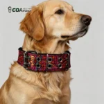 Bohemian Dog Collar Ethnic Print 5cm Wide Nylon, Double Pin Buckle Military Grade, D-Ring No Pull Heavy Duty Large Dogs