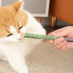 Cat Grass Sticks Indoor Cat Teething Grass Sticks Teething Stick Snacks For Cats Cat Grass Sticks For Hairball Removal - Image 5