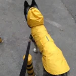 Dog Raincoat Waterproof Hoodie Jacket Rain Poncho Pet Rainwear Clothes with Reflective Stripe Outdoor Dogs Raincoat Accessories - Image 6