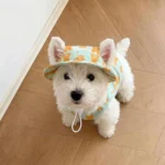 2Pcs Summer Dog Cooling Clothes Set - Cartoon Print Vest with Sun Hat, Breathable Sun Protection Lightweight Quick-Dry Pet Outfi - Image 6