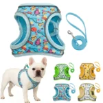 DH009Cartoon-Dog harness and leash set features a breathable honeycomb mesh design to prevent overheating and sweating.