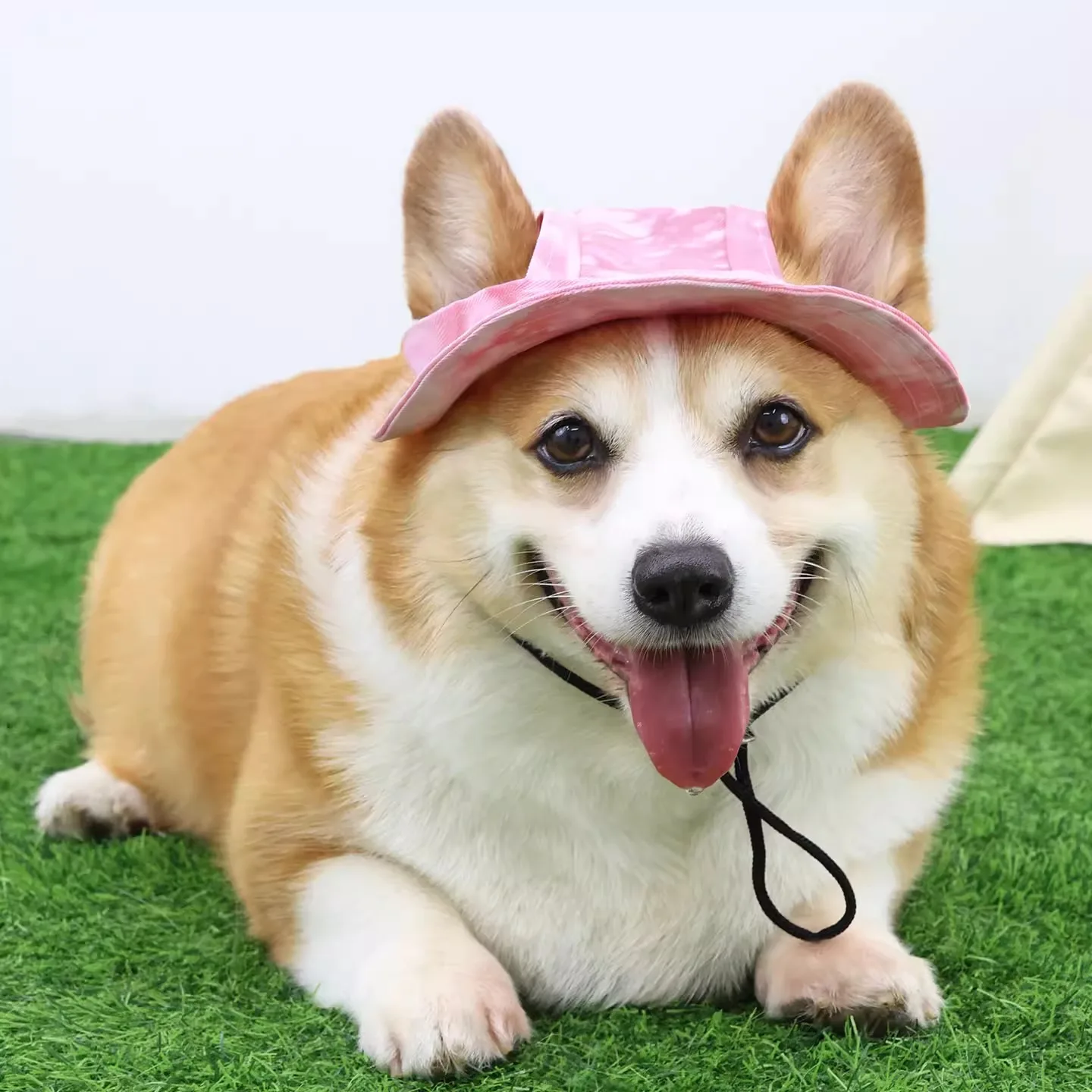kf-S57278d72b28646dc9468f6f95c8a7a9cv Dog Cotton Sun Hat With Ear Holes Round Brim Puppy Kitten Bucket Hat Outdoor Sun Protection Pet Caps for Small Medium Cat Dogs - Image 1