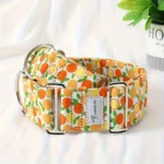 Martinagle Wide Adjustable Dog Collar, Soft Patterned Anti-Pull Collar for Medium-Sized Dogs, Suitable for Italian Greyhounds, Whippets, and Visual Hunting Dogs - Image 3