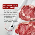 Freeze-Dried Raw Marie's Magical Dinner Dust - - Premium Dog Food Topper with Organic Fruits and Vegetables - Perfect for Picky - Image 5