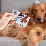 Tick Card With Magnifying Glass Allows Easy Removal Of Ticks Tick Remover For Dogs And Cats With Handy Pocket Size 8.5x5.4x0.1cm - Image 4