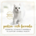 Purina Grilled Kitten Food, Wet Cat Food, Poultry and Beef, 3 oz Cans - Image 4